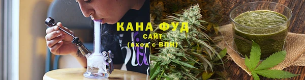 дмт Нея