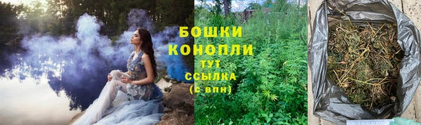 дмт Нея