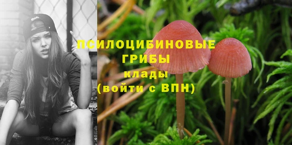 марки lsd Нефтекумск