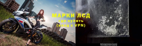 дмт Нея
