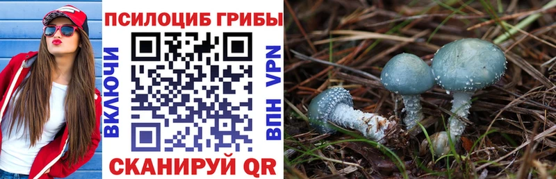 Купить  Ермолино  Галлюциногенные грибы Cubensis 