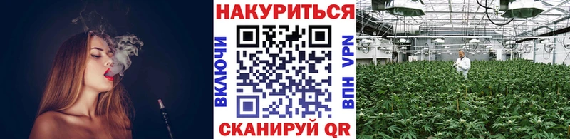 МАРИХУАНА план  Купить где  Ермолино 